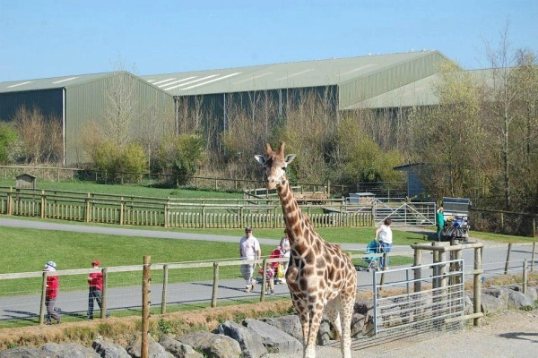 Folly Farm Adventure Park